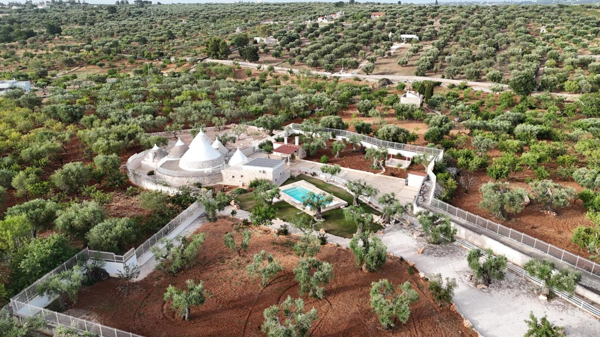 Trulli Lisanna - Apulian Hideaway With Pool Leilighet Antonelli Eksteriør bilde